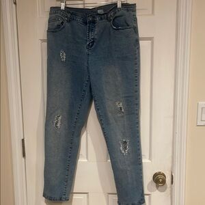 Diane Gilman Blue Straight Leg Jeans with Distressed Details